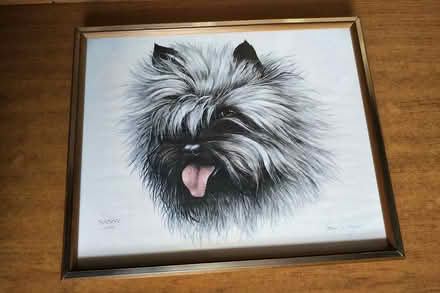 Photo of free Prints (Belper DE56) #1