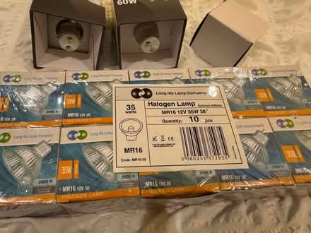 Photo of free Light bulbs (Kilburn NW6) #2