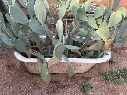 Photo of free Cast Iron Tubs and Sinks (Southtown) #1