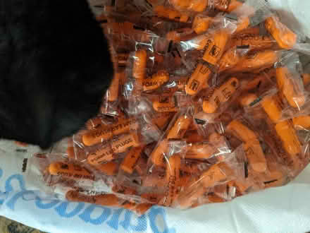 Photo of free So Many Ear Plugs (East Village) #1