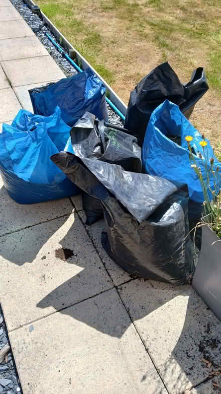 Photo of free Bags of soil (Upton CH49) #1