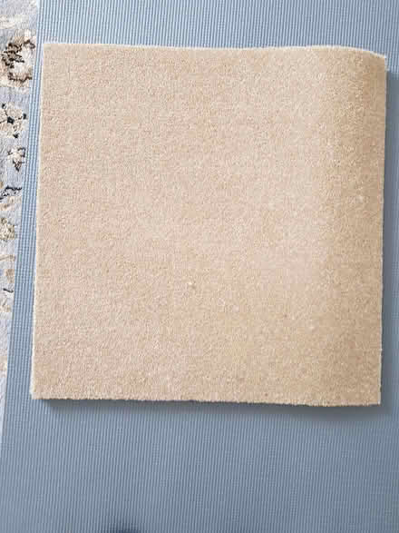 Photo of free Carpet tiles 50cm x 50cm (Sheffield 2) #1