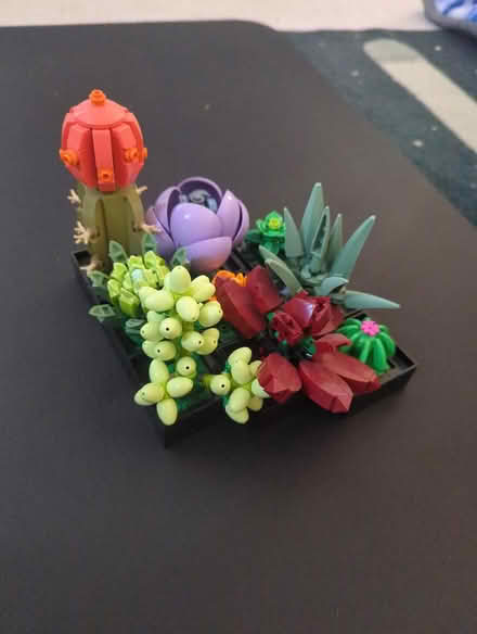 Photo of free Lego succulents (Kingstown) #1