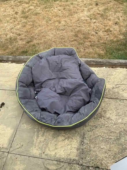 Photo of free Three Peaks dog bed (Keynsham) #1