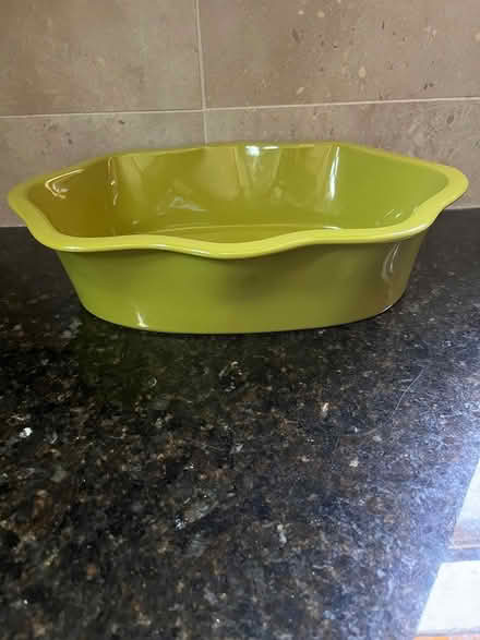 Photo of free Serving Bowl (Downtown Guelph) #1