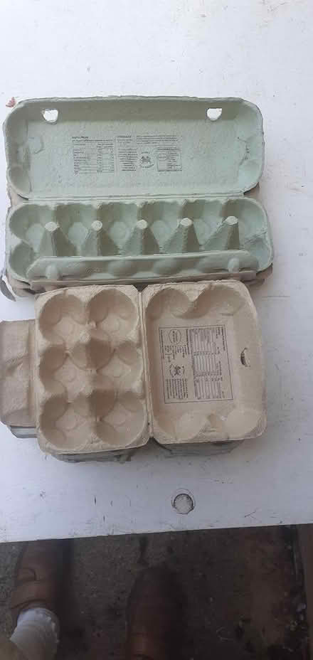 Photo of free Egg boxes (Shillington SG5 3 area) #1