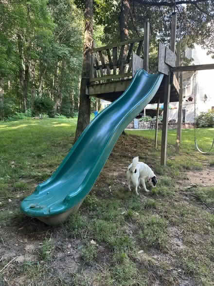 Photo of free Slide (Huntingtown) #3