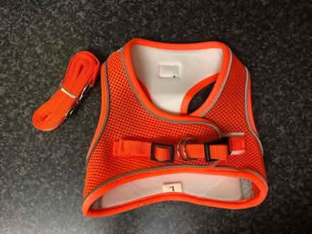 Photo of free Pet harness (Cambridge CB1) #3