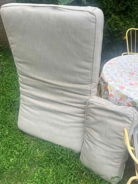 Photo of free Cushions (Ardmore) #1