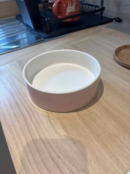 Photo of free pink animal food bowl (S12 Hackenthorpe) #1