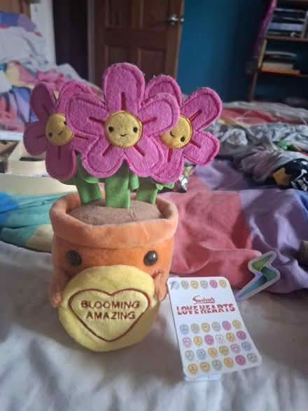 Photo of free Toy pot of flowers (Seaside BN22) #1
