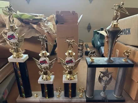 Photo of free Billiard Trophies (Saratoga Woods) #1