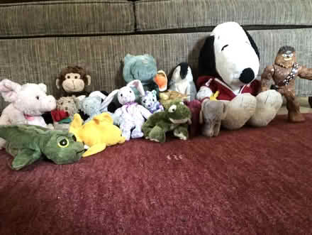 Photo of free Stuffed animals (West Berkeley) #1