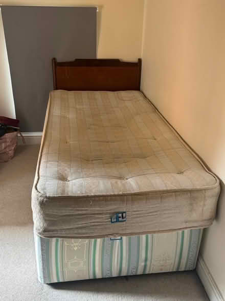 Photo of free Single Bed (B23 6GS) #1