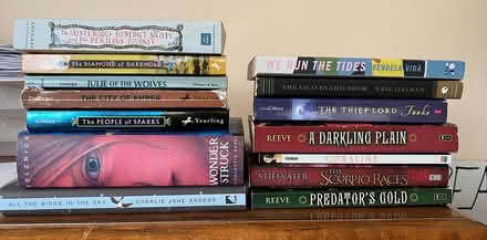 Photo of free YA and middle grade novels (North Boulder) #1