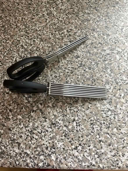 Photo of free Shredder/herb scissors (Fawdon NE3) #1