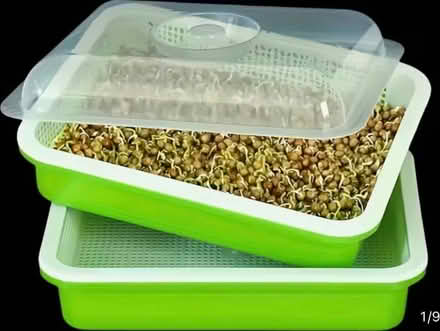 Photo of free Seed sprouting trays (Clapham, Bedford) #1