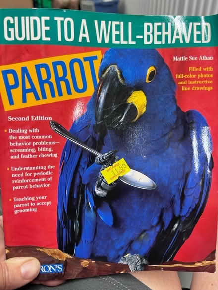 Photo of free Guide to a well behaved parrot (New Rochelle) #1