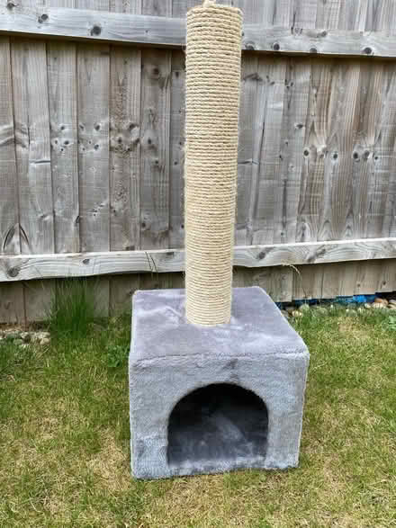 Photo of free Cat scratch pole with “house’ underneath (Porthill SY3) #2