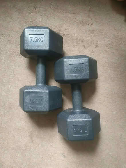 Photo of free 7.5kg dumbbell set (Milton PO4) #1