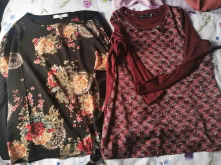 Photo of free Womens assorted clothing (Haresfinch) #2