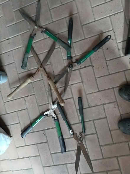Photo of free Garden shears (Dudley DY3) #2