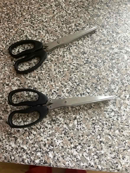Photo of free Shredder/herb scissors (Fawdon NE3) #2
