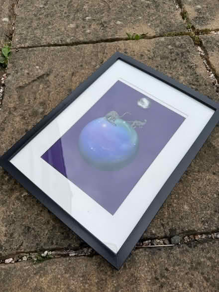 Photo of free Dinosaur pictures (Horsforth (LS18)) #1
