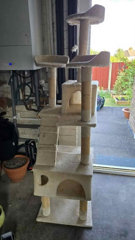 Photo of free Large cat tree (Woodside, DY2) #1