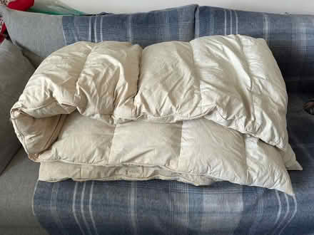 Photo of free Double duvet (genuine feather/down (Brixton Hill SW2) #1