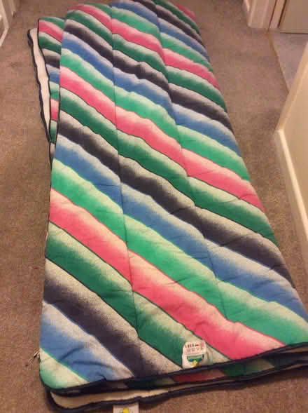 Photo of free Two Sleeping Bags (Alton GU34) #1