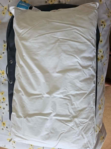 Photo of free Pillows (Llansantffraid SY22) #1