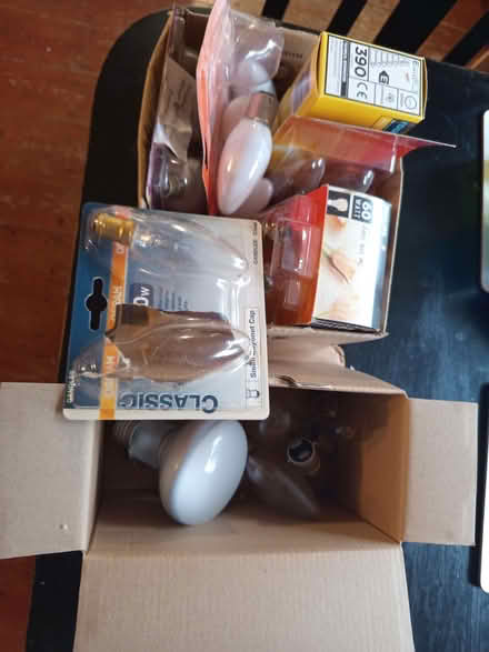 Photo of free Various incandescent light bulbs (Caton LA2) #1