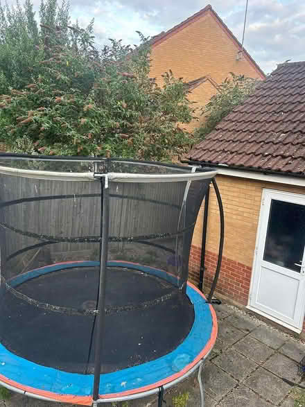 Photo of free Trampoline (SS15) #1