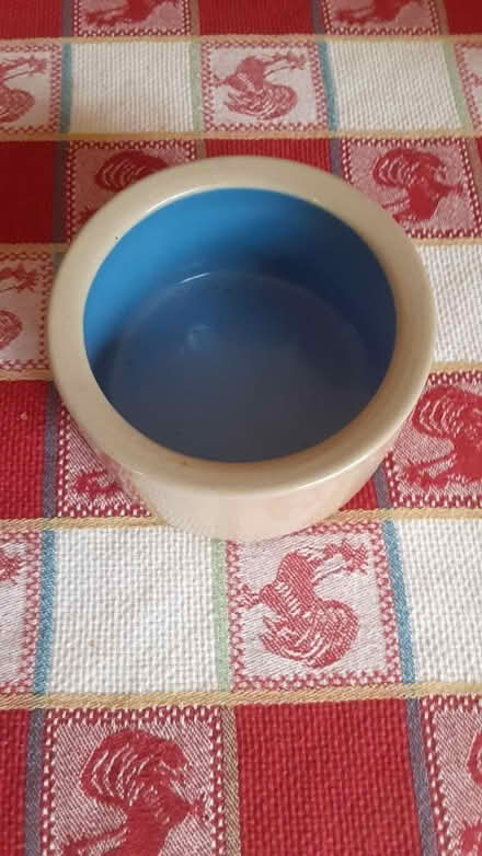 Photo of free Water bowl (Southdown and Truscott) #1