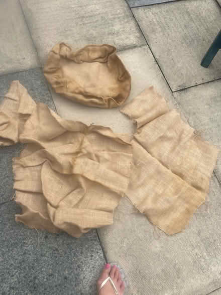 Photo of free Gardening bits and pieces (Prescot Merseyside) #3