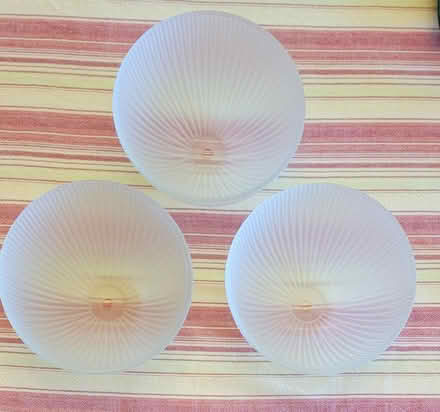 Photo of free Three frosted glass shades (N Green Lake) #1