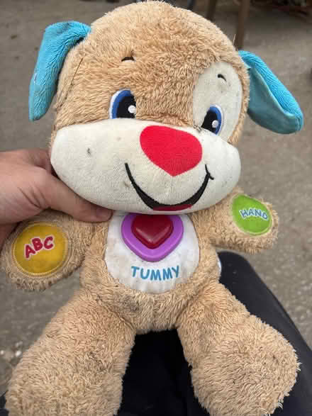Photo of free Talking teddy (Longton Preston PR4) #1