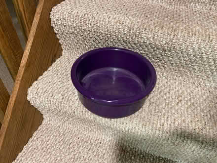 Photo of free Plant pot (Darien) #1