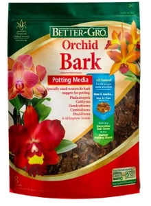 Photo of orchid bark (Alameda/Shoreline Dr.) #1
