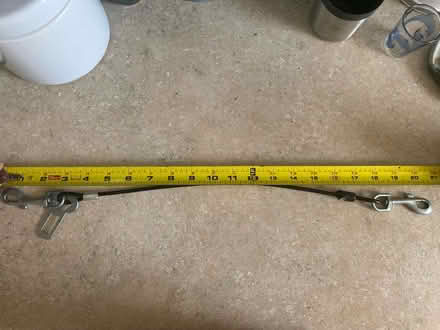 Photo of free Canine seat belt (Glenolden 19036) #2