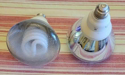 Photo of free 2 exterior flood lightbulbs (N Green Lake) #1