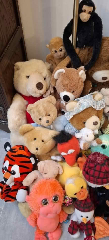 Photo of free Bundle of kids soft toys (Boughton Monchelsea ME17) #2