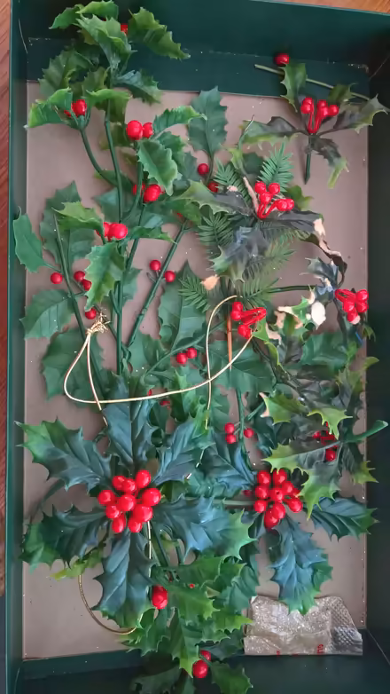 Photo of free Plastic Holly (Hulham EX8) #1