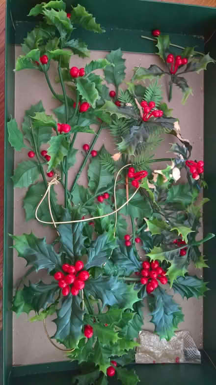 Photo of free Plastic Holly (Hulham EX8) #1