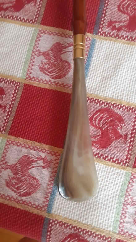 Photo of free Shoehorn (Southdown and Truscott) #2