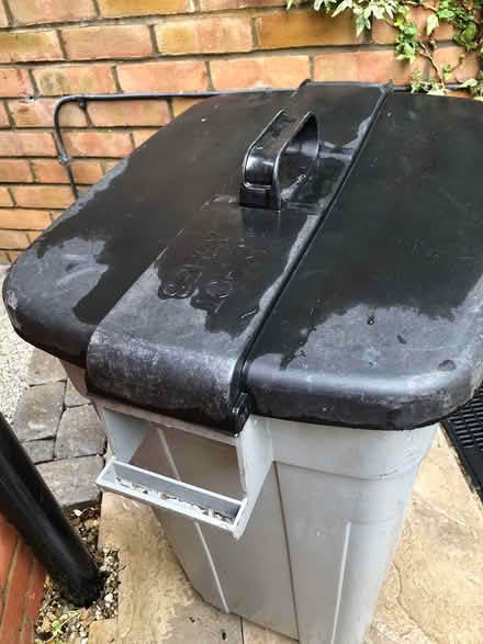 Photo of free Rectangular Addis dustbin (Billericay) #3