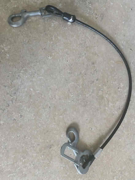 Photo of free Canine seat belt (Glenolden 19036) #1