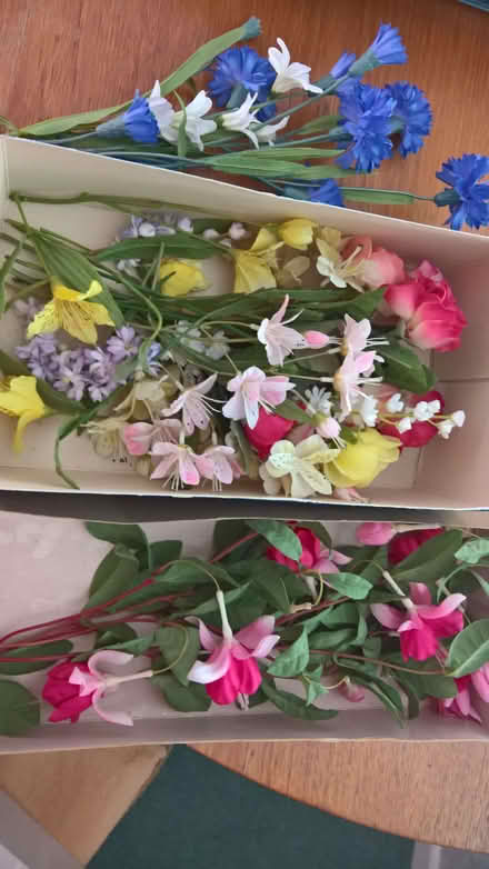 Photo of free Fabric flowers (Hulham EX8) #1