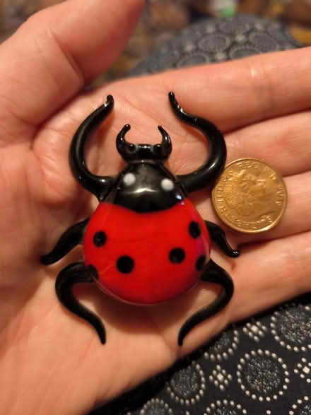 Photo of free Glass ladybird (Church RG2) #1
